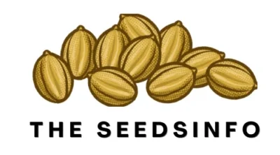 A pile of stylized golden seeds above the text "THE SEEDSINFO" on a white background.