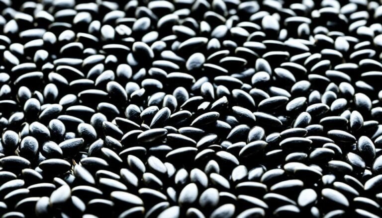 Black Oil Sunflower Seeds: Nature’s Nutrient Powerhouse